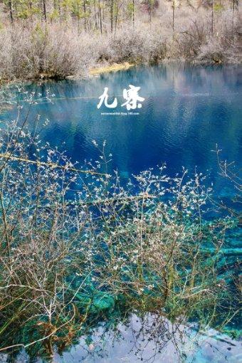 解答你的疑惑,来万有引力6.67✖️10负11次是什么量?吉鹿力问答社区吧!