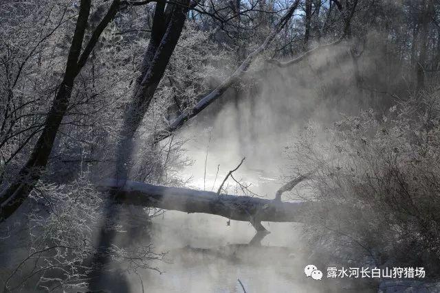 长津湖战役的遗憾,3次错失消灭美军重炮团良机,导致惨重伤亡
