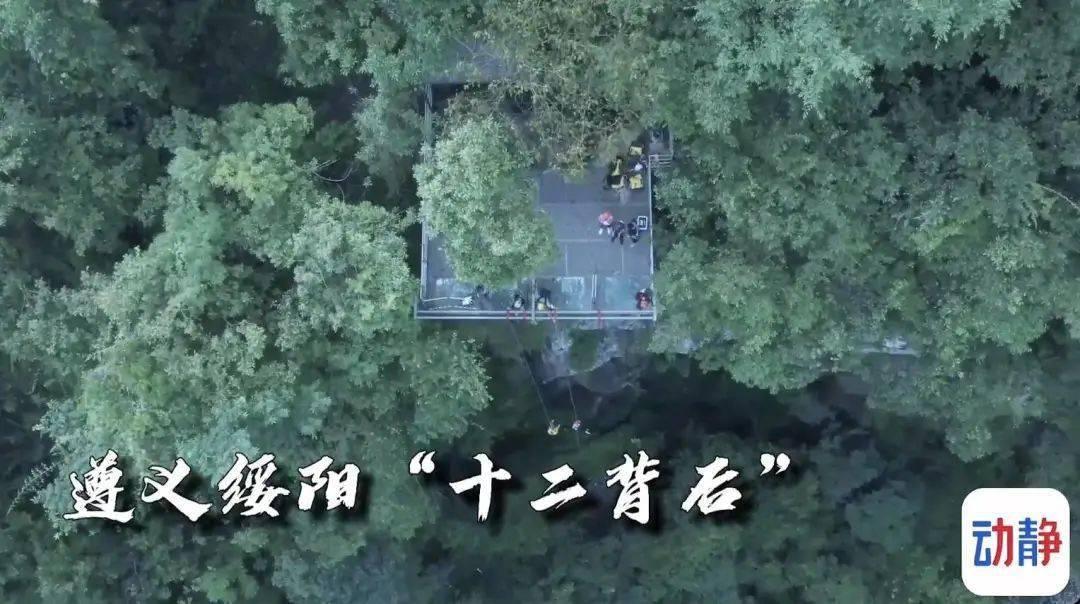 奇异人生2
