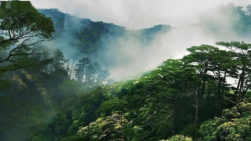 渭南苹果出口额占全省一半