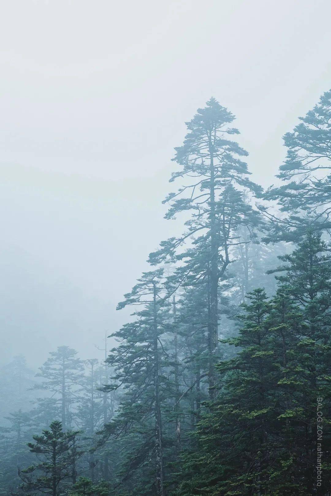 皇家之秘