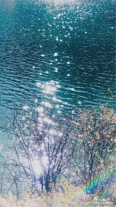 创作猫