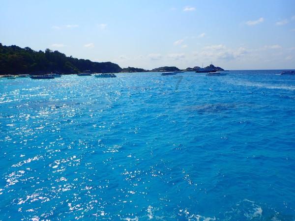 青海省海东市曝光6起典型案例