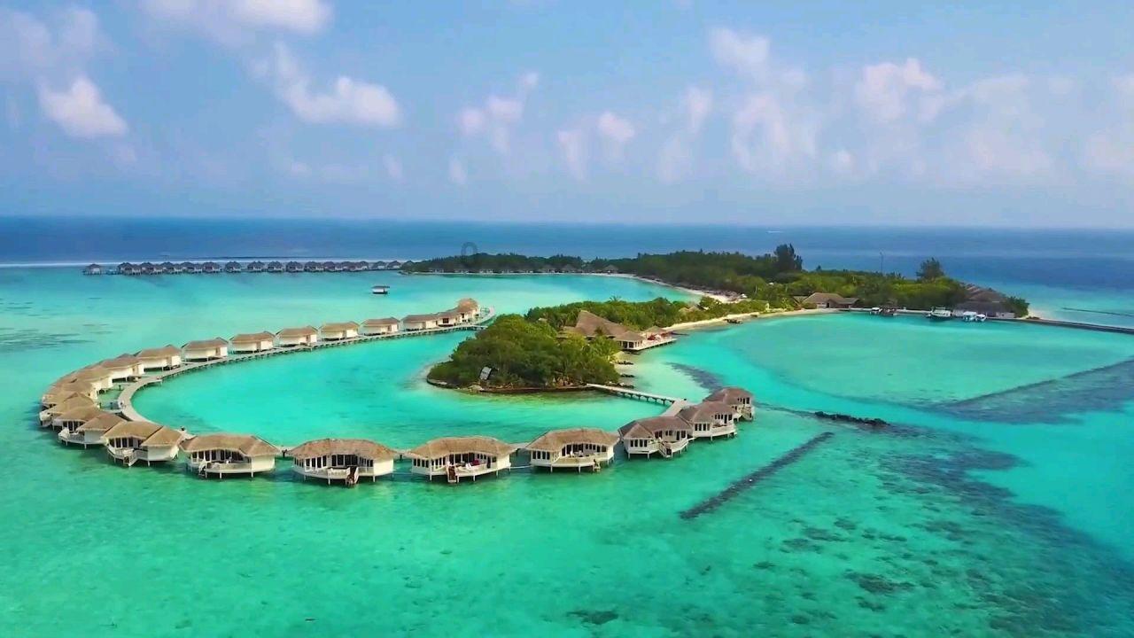 召唤神龙万宁版祖龙