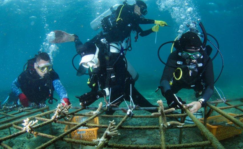 土耳其总统签字正式同意瑞典加入北约