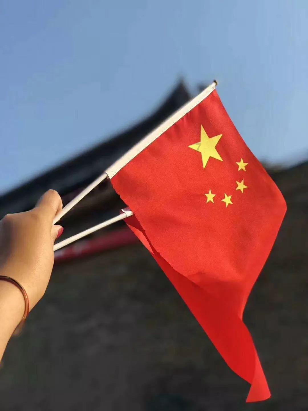 可怜猫的救援
