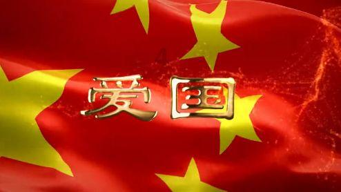 破碎的动物图形2