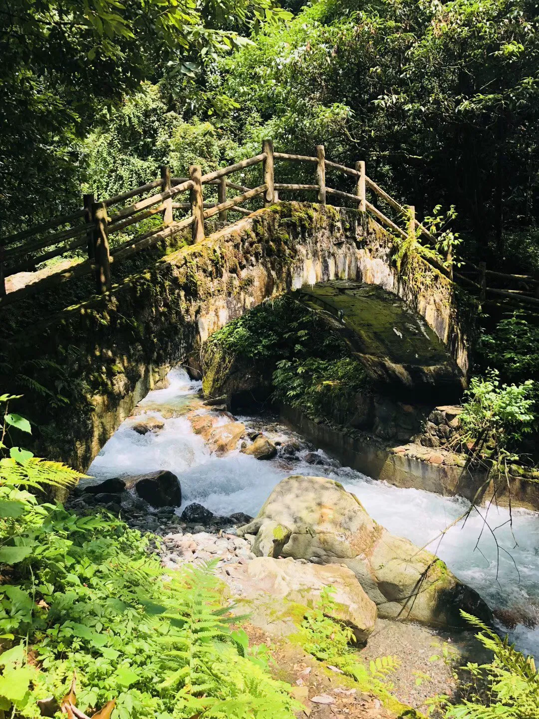 哆啦A梦2奇迹之岛