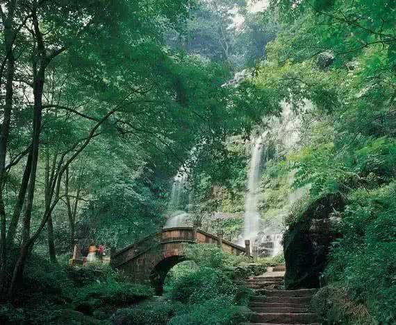 沙漠中寻宝