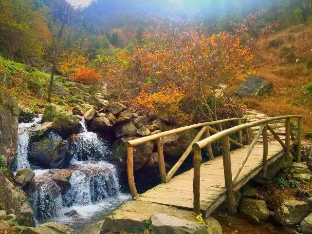 棒球训练赛
