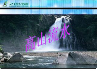完美的收藏品
