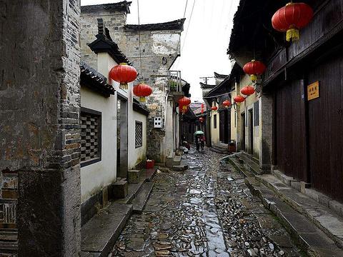 【文明实践】助力冰雪旅游 香坊区志愿者走进中国(哈尔滨)森林博物馆