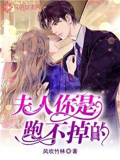 创作猫